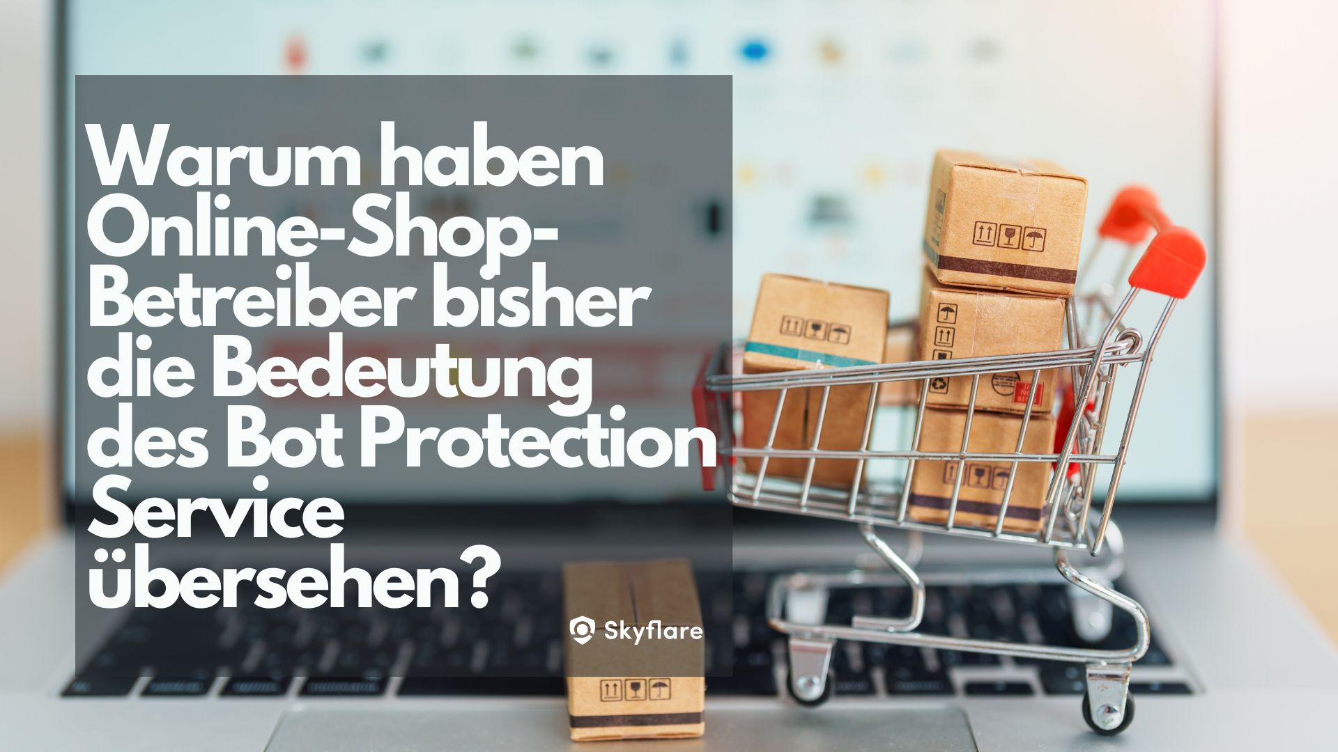 Warum haben Online-Shop-Betreiber bisher die Bedeutung des Bot-Protection-Service übersehen?
